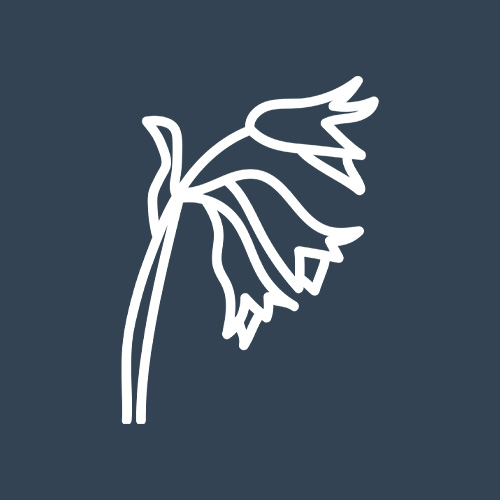 OXLIP trust emblem